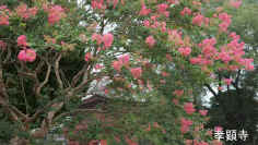 2012081804197koukennji-.jpg (70551 バイト)